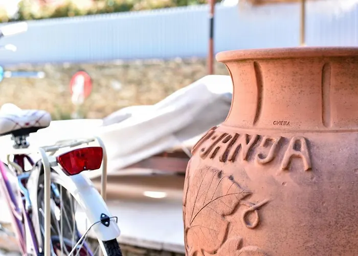 Casa Douro Janja Armamar